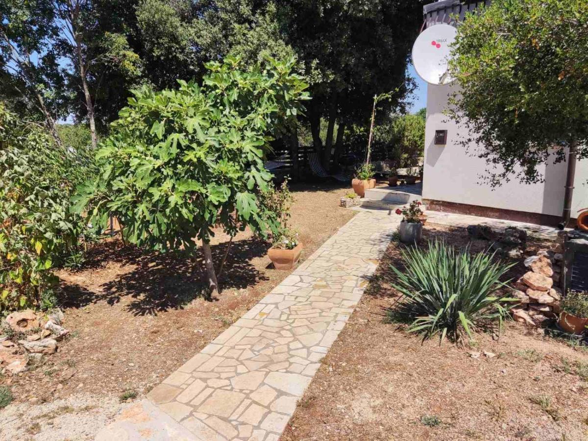 Viva 2 Rovinj Apartment Ngoại thất bức ảnh